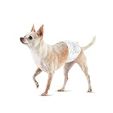Amazon Basics Pañales desechables solo para perro macho, XS, Paquete de 30, Blanco