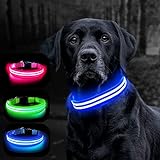 YADIMI Ajustable Collares LED para Perros, Collar Luminoso Perro Recargable, 3 Modos de Iluminación Impermeable Súper Brillante para Cachorros Pequeños, Medianos y Grandes (S(28-40cm, 2.5cm), Azul)