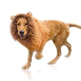 Peluca de melena de león para disfraz de perro, con orejas, ajustable, cosplay, vacaciones, sesiones de fotos, fiestas, color marrón claro