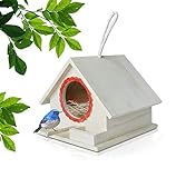 Nido de Pájaro de madera caja por PetsN PetsN | clara vista ventana pájaro nido para aves | Heavy-duty ventosas, techo en ángulo, agujeros de drenaje