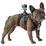 GoPro Fetch - Arnés de cámara GoPro para Mascota, Color Negro