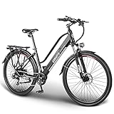 ESKUTE Bicicleta Eléctrica Wayfarer 28'', Bicicleta Electrica Urbana Touring para Adultos Unisex, Bici electrica con Batería de Litio Extraíble 36V 10Ah, Motor 250W