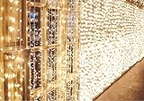IDESION Cadena de luces 600 LEDs Cortinas de Luz Impermeable 6m * 3 metros Garland 8 Modos de Operación Luz para Decoración de Interiores,Exterior,Boda, Navidad,Fiesta