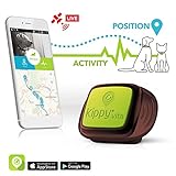 Rastreador GPS de mascotas para perros y gatos de Kippy | Collar GPS & Monitor de actividad para Perros, Gatos y otras mascotas | Funciona con iPhone, Android, Smartphones, Tablets | Suscripción de monitorización de GPS requerida y comercializada por separado