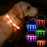 MASBRILL Collar de Perro Luz LED, 3 Modos Collar Perro Luminoso con Recargable y Impermeable, Collar de Perro de Destello Ajustable para Perros Pequeños/Medianos/Grandes(Naranja M)