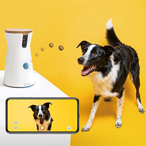 Las mejores cámaras de vigilancia interactivas para perros y gatos