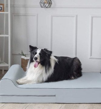 Las mejores camas ortopédicas para perros