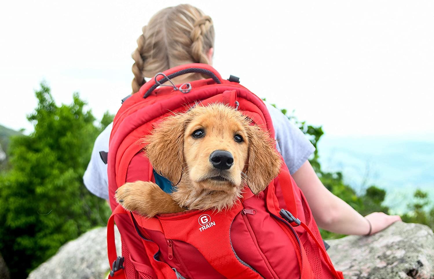 Produce Influencia imagen Las mejores mochilas para llevar a tu perro cómodo y seguro · CompraMejor.es