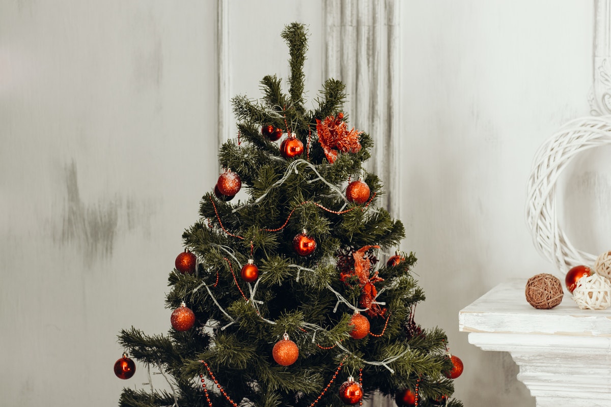 Los mejores árboles para decorar tu hogar esta Navidad (y que seguro se agotarán)