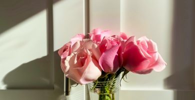 Las mejores flores de San Valentín para tu pareja