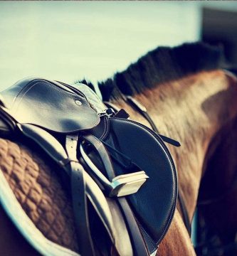 Las mejores monturas para ir cómodo y seguro a lomos del caballo
