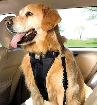Los mejores arneses y cinturones de seguridad para viajar con nuestras mascotas