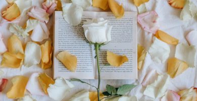 Los mejores libros y rosas para regalar en el próximo Sant Jordi (Día del Libro)