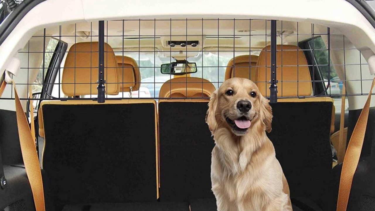 Almuerzo Credo parásito Rejillas de coche para viajar con su perro · CompraMejor.es