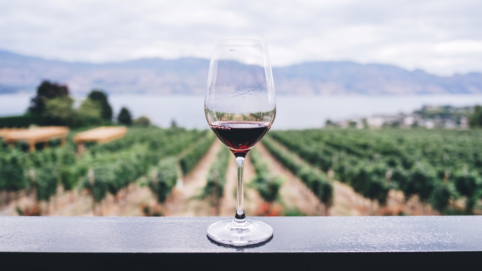 En España, el vino es sinónimo de buenos momentos.