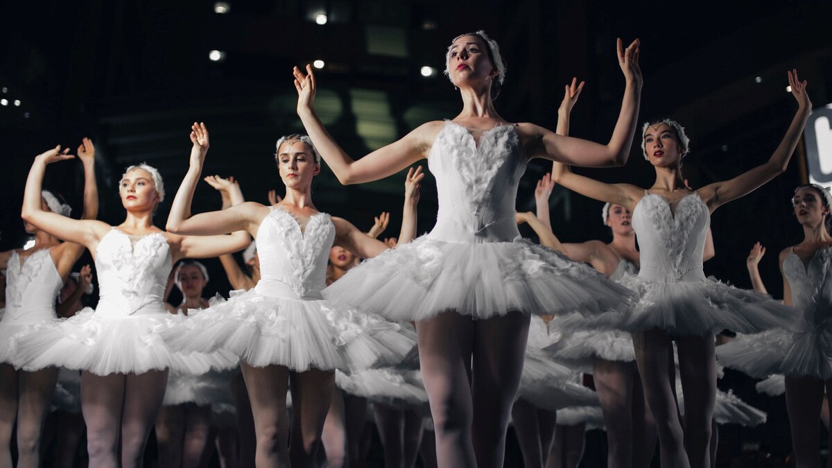 Maillot Ballet y Danza Sin manga y Muy Elegante