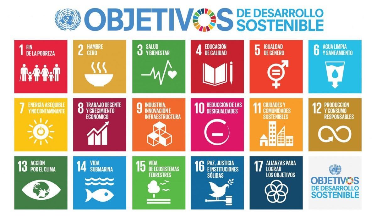 Día Internacional de la Educación: Objetivos de Desarrollo Sostenible de la ONU