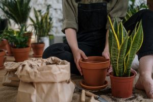 Los mejores tips para proteger el jardín durante el invierno