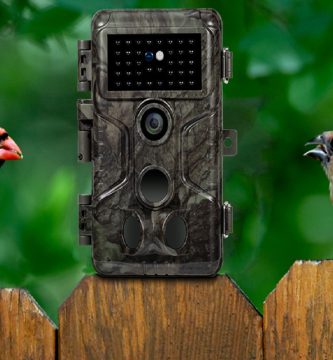 Esta cámara de fototrampeo arrasa en Amazon para grabar animales en su entorno natural