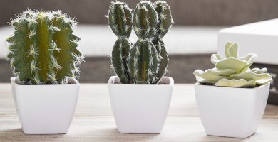 Los mejores cactus artificiales para presumir de decoración vegetal