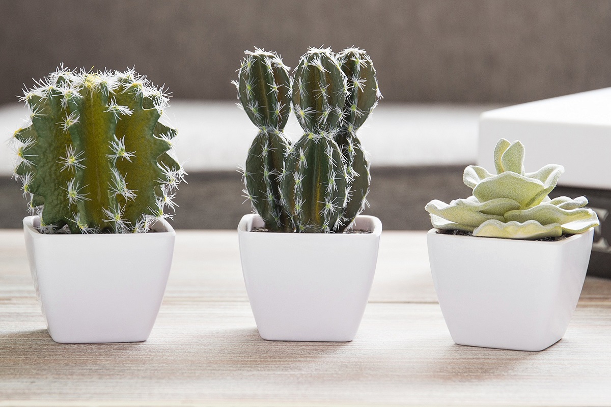 Los mejores cactus artificiales para presumir de decoración vegetal