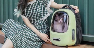 Las mejores mochilas para transportar a tu gato de la manera más segura y cómoda