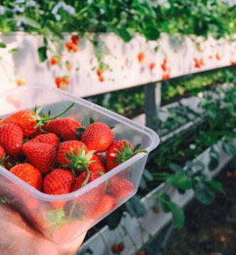 Cómo conservar las fresas para que duren más tiempo frescas en el frigorífico
