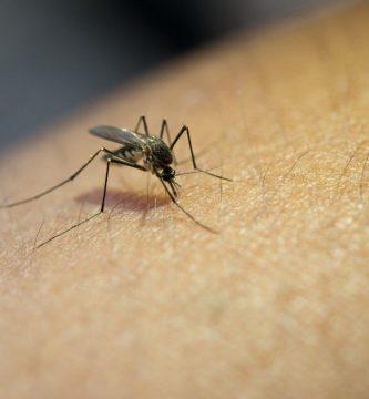 Bite Away: así es el ‘bolígrafo’ que alivia el picor de las picaduras de mosquitos sin químicos