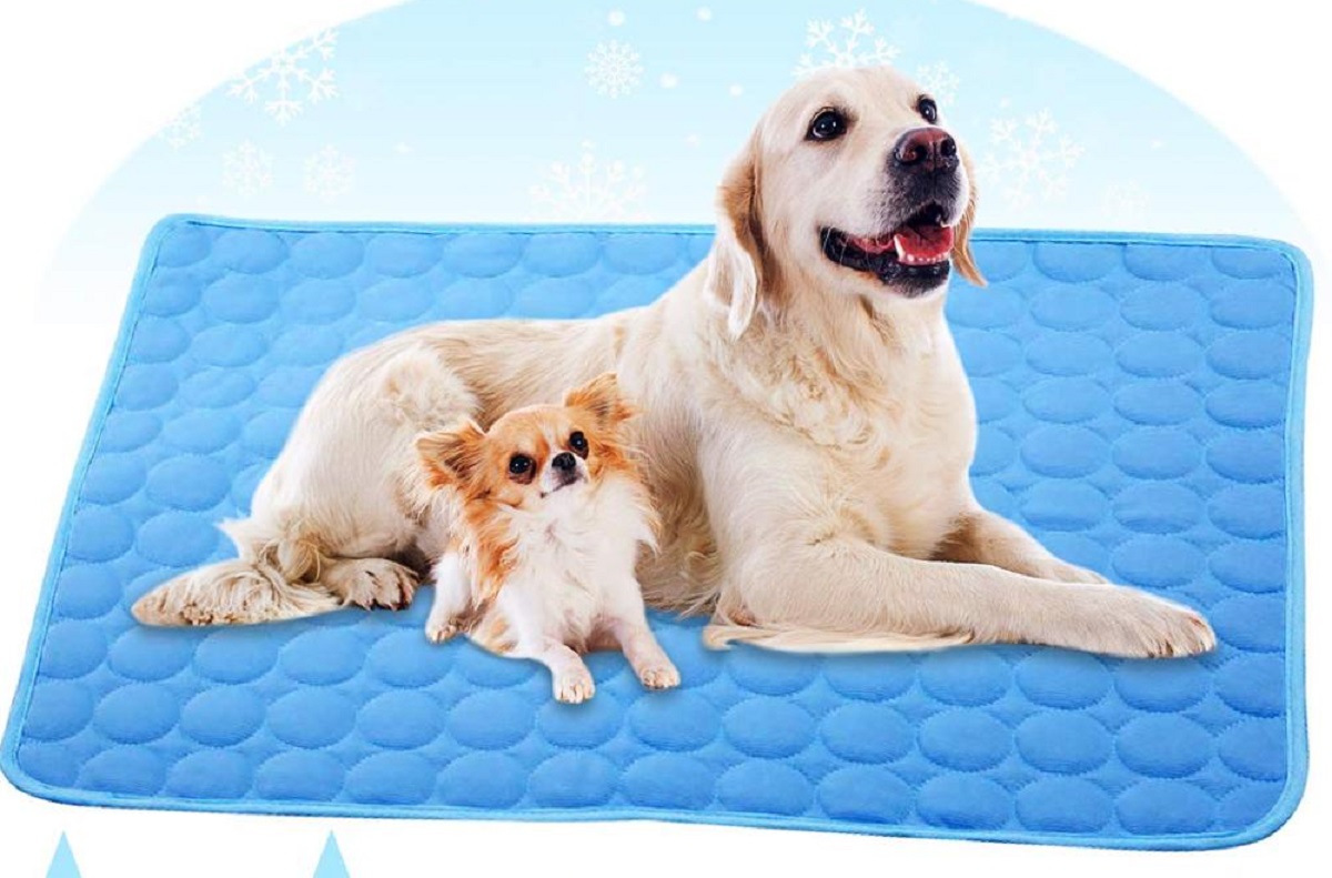 Protege a tu mascota contra el calor con esta alfombrilla refrescante reutilizable