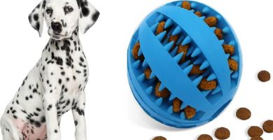 Los mejores juguetes interactivos para estimular la mente y olfato de tu perro