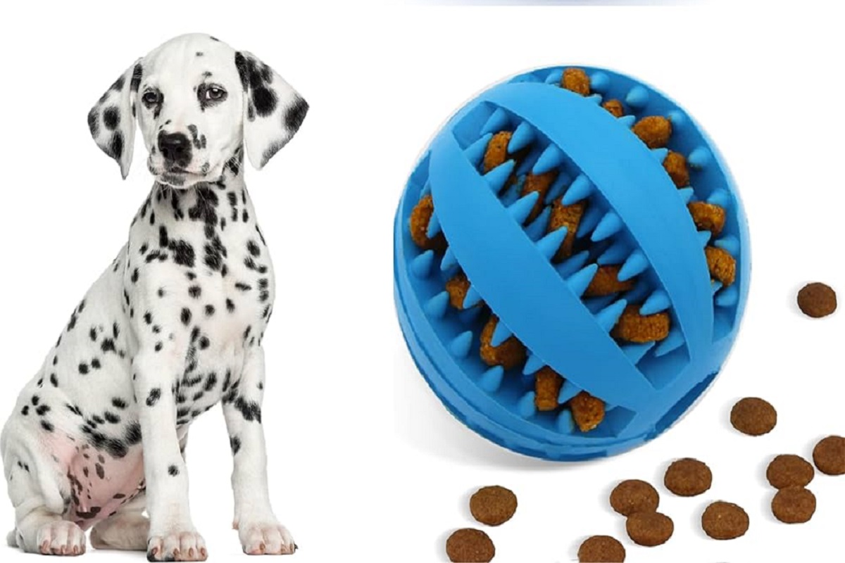 Juguetes interactivos para perros con bola de olfato para mascotas,  rompecabezas para aburrimiento y estimulación mental, juguete de bola de  platillo