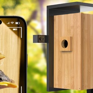 Con esta caja-nido inteligente podrás ver los pájaros que se ‘alojan’ en tu jardín