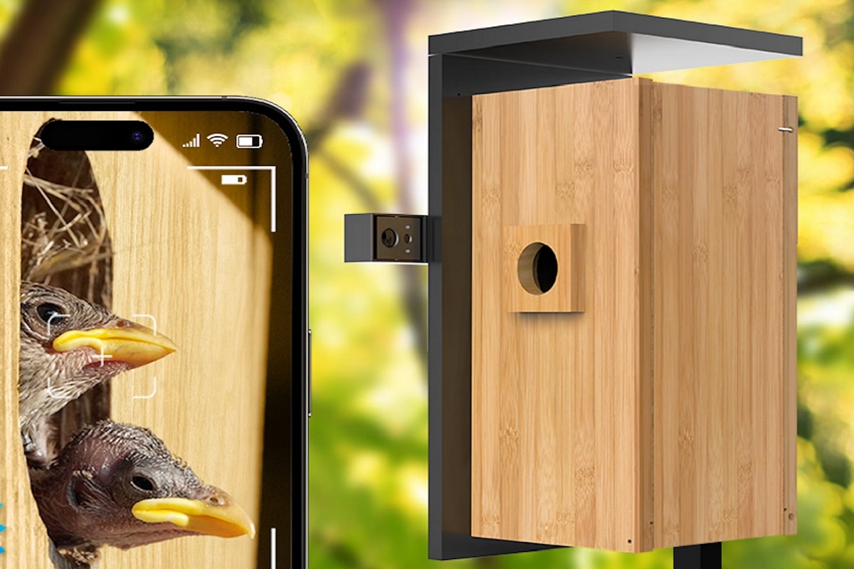 Con esta caja-nido inteligente podrás ver los pájaros que se ‘alojan’ en tu jardín