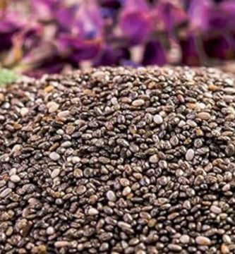 Descubre por qué es bueno para tu salud tomar semillas de chía con frecuencia