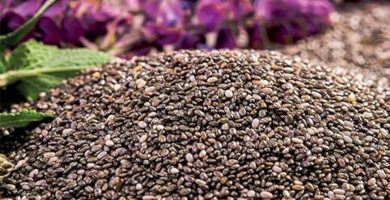 Descubre por qué es bueno para tu salud tomar semillas de chía con frecuencia